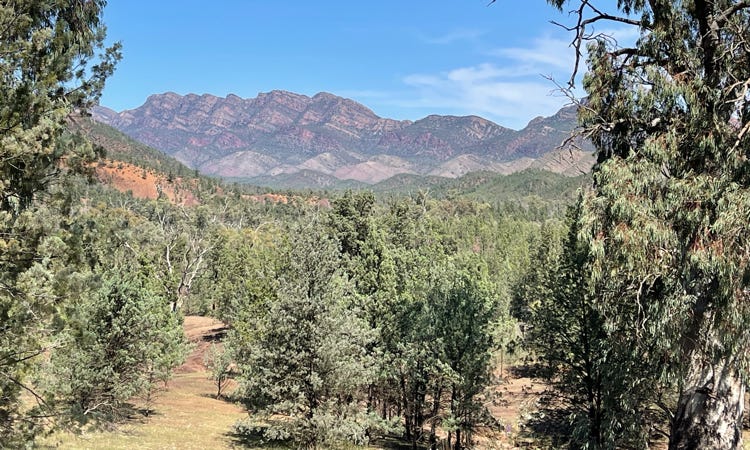 Flinders Ranges ediacaran Fossil tour 3 days